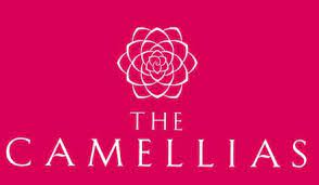 DLF Camellias